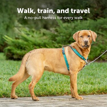 Шлея для собак PetSafe 3-в-1, анти-тягова, з автокріпленням, рефлекторами, ручкою, розмір L, чорна/синя/фіолетова