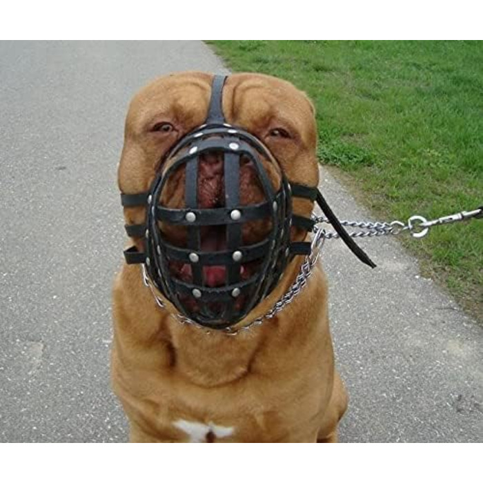 Корзина для дресирування собак L&J Pets Biothane для догів (XDB1, чорний)