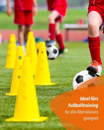 Кегель-бар'єри Sportikel24 для аджиліті – набір бар'єрів для собак, коней та дітей – 50 см