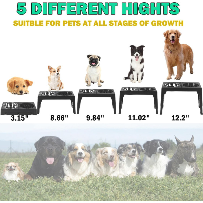 Підвищений миска для собак Arsagoo: 1 x 1100 мл з нержавіючої сталі, 1 x для повільного годування, 1 x водовідштовхувана, регульована по висоті (5 рівнів) для собак маленьких та середніх порід