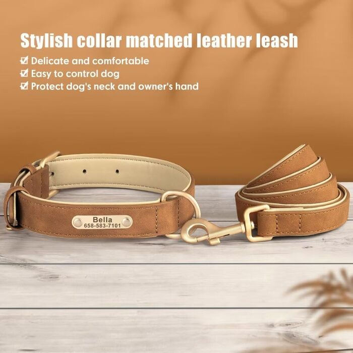 Нашийник та поводок для собак, шкіряні, персоналізовані, м'яко стьовані, міцні, з індивідуальною табличкою, регульовані (M, верблюжий, комплект M: обхват шиї 28-37 см, ширина 2 см)