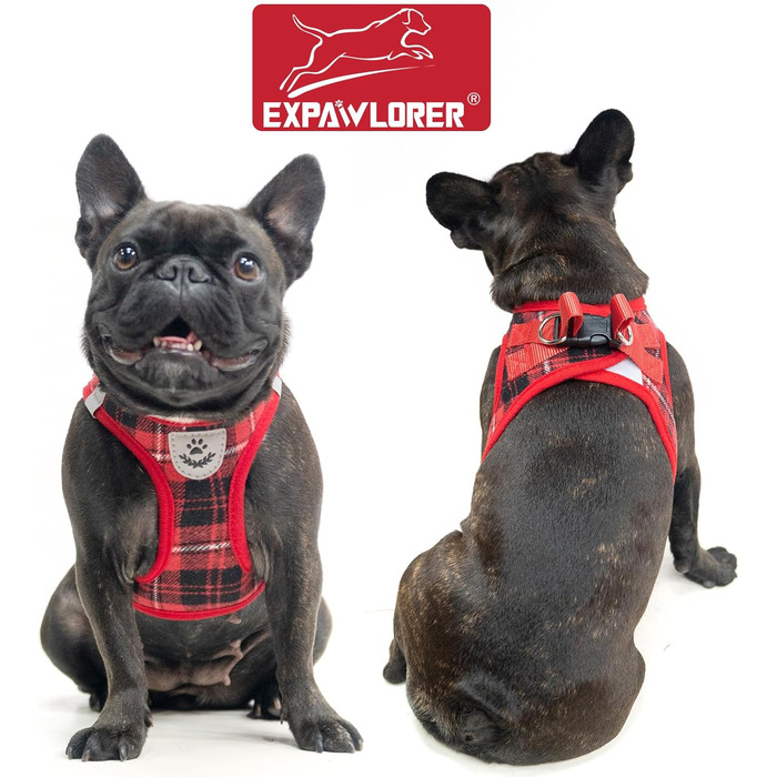 EXPAWLORER Нашийник та поводок для собак – набір для середніх собак – класичний вільний нашийник, не тягне, регульований, надійний для прогулянок на вулиці (XS (Окружність шиї: 20-30см, Окружність грудей: 33-36.8см), Червоний)