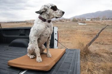 Лежак для тварин Carhartt Napper Kennel Pad, великий, 43x76 см, коричневий