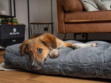 TrendPet Maya Ortho - Ортопедичне ліжко для собак (80x60 см)