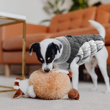 Водонепроникний зимовий одяг для собак - куртка для дрібних порід (Даксель, Бульдог, Чихуахуа) сірого кольору