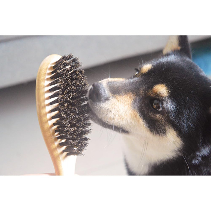 Щітка для котів з щетиною дикого кабана, професійний догляд за шерстю, зменшує випадіння, робить волосся м'яким та блискучим. Також підходить для собак з короткою шерстю