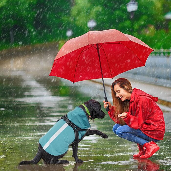 PETCUTE Дощовик для собак, дощова куртка з поворотком для нашийника, водонепроникний, з світловідбиваючими смугами, регульований капюшон, для маленьких, середніх та великих собак (S, блакитний)
