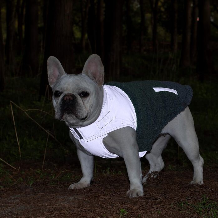Зимовий теплий жилет для собак з інтегрованим шлейкою, водо- та вітронепроникний, світловідбиваючий, зручний, регульований (Блакитний, 3XLP, обхват грудей 55 см)