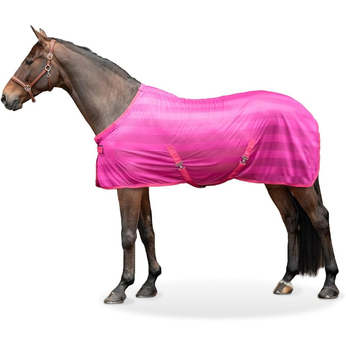 Захисна ковдра для коней Equinate Guardian з перехресною стропою та підстилкою на хребті - ковдра від екземи з ефективним захистом від комах - ковдра для випасу (Raspberry, 135 см)