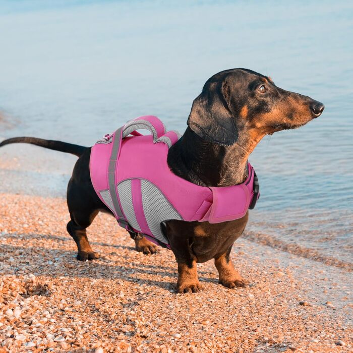 Жилет для плавання для собак Queenmore, регульований, висока видимість, рятувальний жилет, для собак XX-Large (Hot Pink, XXL)