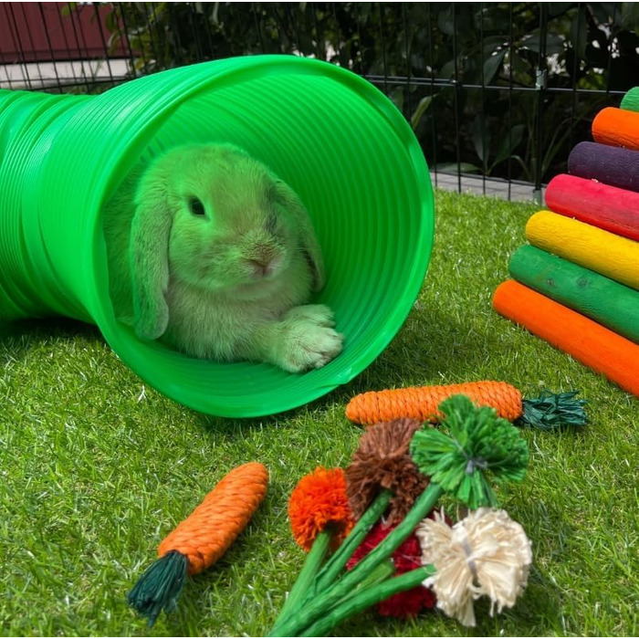 Туннель для кроликів, морських свинок та хоряків Pet One Grüner – діаметр 20 см, довжина 80 см