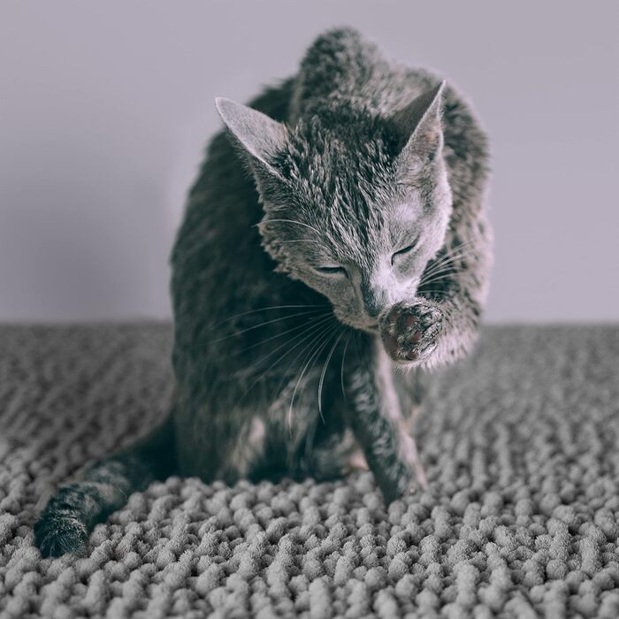 Килимок для котячого туалету CatGuru XL, водонепроникний, протиковзкий, машинне прання, м'який, сірий