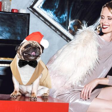 Костюм для собак 