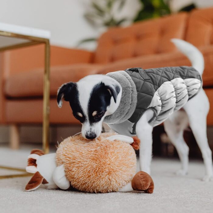 Водонепроникний зимовий одяг для собак - куртка для дрібних порід (Даксель, Бульдог, Чихуахуа) сірого кольору