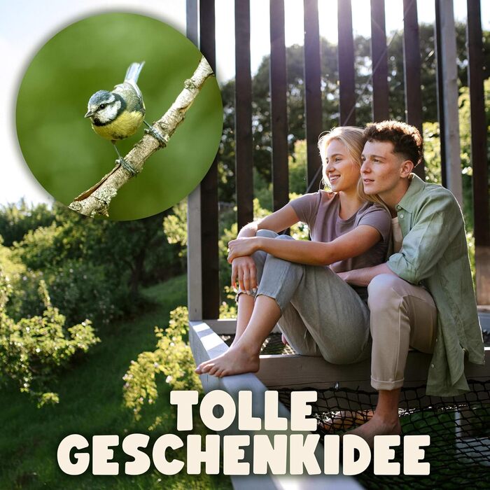 Швейцарський годівничка для птахів SWISSINNO Davos SMART – годівниця з піддоном, антиратонна, для саду та балкону, сірий колір