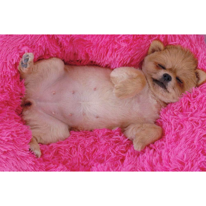 М'яке ліжко для кота/собаки у вигляді пончика, рожева, 70 см. Комфортне, з товстою наповнювачем, миється.