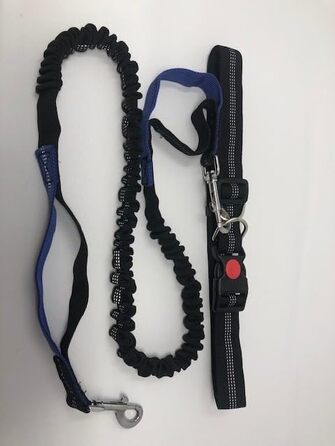 Сумка для тренування собак Paw Leckerli, сіра, стандартна (1 шт.)