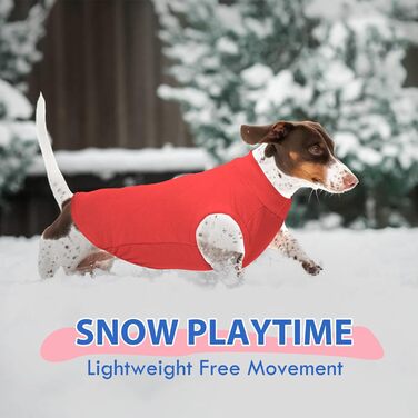 Тепла флісова жилетка для собак, червона, розмір M – для малих порід (Хаванез, Ши-тцу, Папільйон), легка зимова жилетка, повсякденний пуловер