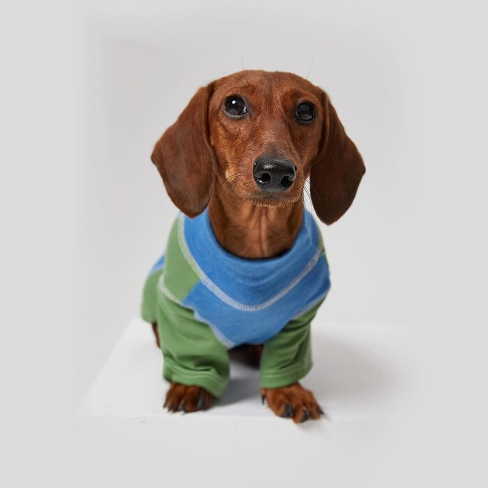 Світшот-куртка для собак Дакль, бавовняний пуловер, комбінезон для мініатюрних даклів, піжама, одяг для тварин з двома ніжками, з довгими рукавами, еластичний, м'який, зручний, рожева футболка для домашніх тварин S