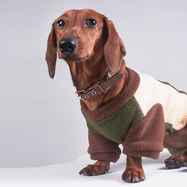 Теплий зимовий костюм для дрібних собак, комбінезон для такси, теплий халат для цуценят, бежевий, розмір S