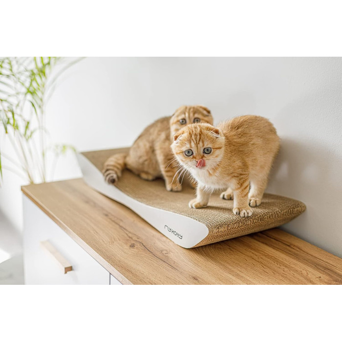 myKotty TOBI гнучкий кігтеточка-лавка для котів, білий, 59x7x25 см, комфортна для власників котів