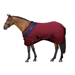 колір: бордовий / синій