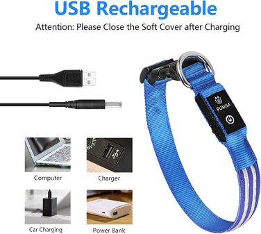 Світлодіодний нашийник для собак Leuchthalsband PcEoTllar, зарядний, 3 режими світіння, водонепроникний, регульований, для малих, середніх та великих собак, блакитний (TC5000), L (48-60 см)