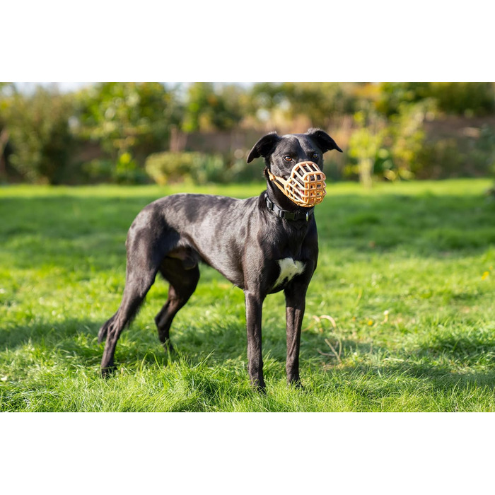 Корзина для собак Baskerville Box Design, розмір 7 (може варіюватися)