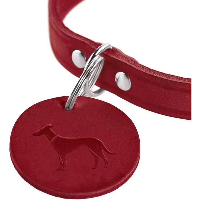 Нашийник для собак HUNTER AALBORG, колір: коньяк, міцне шкіряне обплетення, ідеальний для спорту та повсякденного використання, з шкіряним брелоком, Made in Germany, розмір 37 коньяк 37