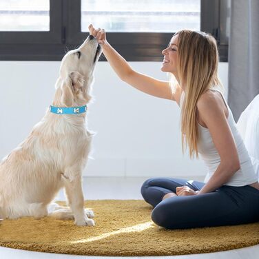 Нашийник для собак з натуральної шкіри HALFSUO, поводок Cobo, набір для малих та середніх собак та котів (L, блакитний)