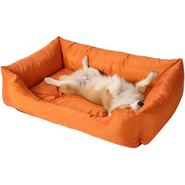 колір: помаранчевий