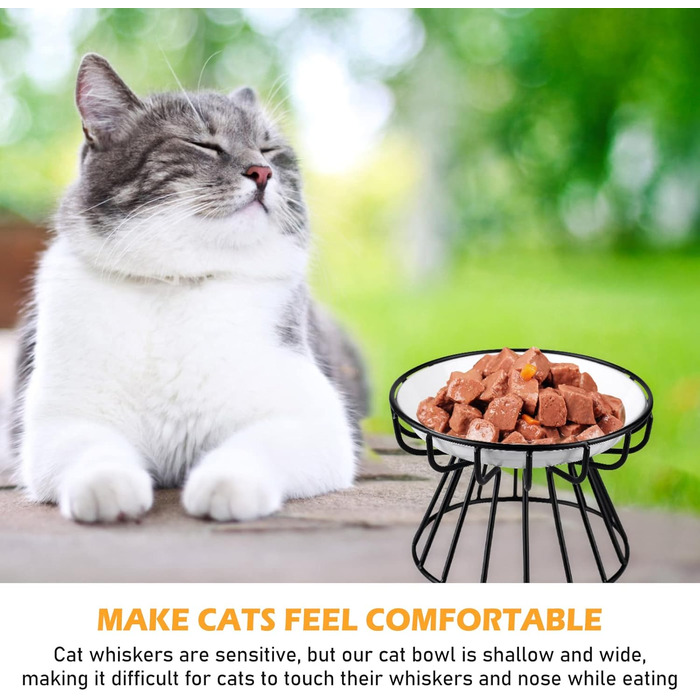Набір з 2 керамічних годівниць для котів на підставці, підняті миски для кошенят та цуценят