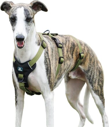 Шлейка для собак Paworld, анти-тяга, шлейка від паніки, анти-вислизання, регульована, дихаюча жилетка для собак маленьких, середніх та великих розмірів (XL) Extra Large (упаковка 1), колір: зелений