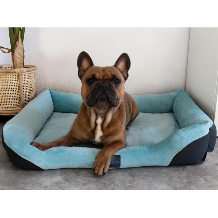 Корзина для собак Normani з ковдрою - лежанка для тварин, блакитна, 60x80 см