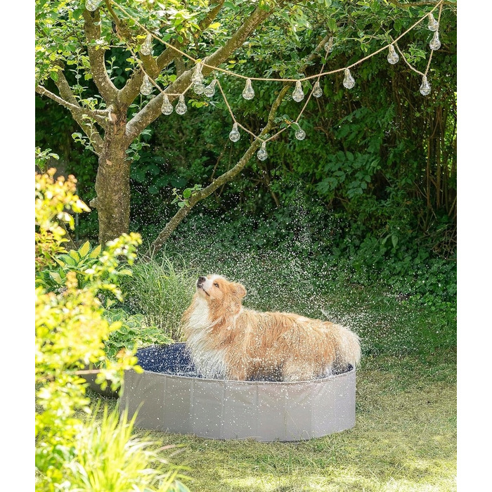 Складаний басейн для собак, сірий, 160x30 см, 600 л