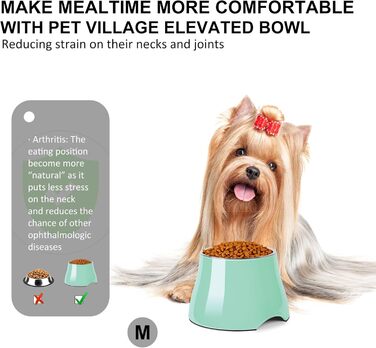 Миска для собак Petvillage, конічної форми, неслизька, з нержавіючою сталею, піднята миска для середніх собак, спанієлів з довгими вухами, велика місткість, розмір L, 3 чашки, (Medium(2 чашки), м'ятний колір)