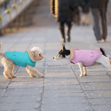 Зимова куртка для великих собак, вітронепроникна, для холодної погоди, одяг для домашніх тварин, снігозахисна куртка, для Golden Retriever, Labrador Retriever, Husky, розмір XL (Large, блакитна)