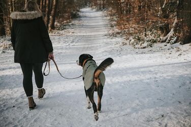 Водонепроникний теплий дощовик для собак Hunter Uppsala, хакі, 2в1 знімний підкладка, розмір 30