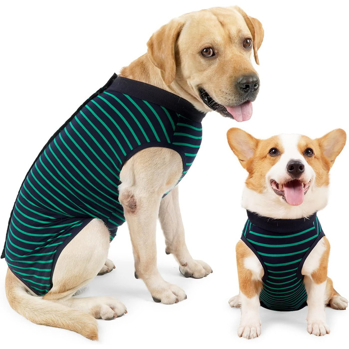 Комбінезон для собак, дихаючий, для захисту післяопераційних ран, альтернатива конусу, без шнура, післяопераційний (XXL, 1 шт., зелений)