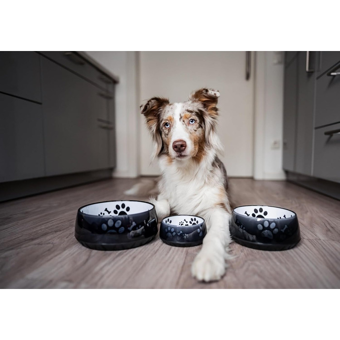 Миска для собак Elropet: маленькі та великі породи, нековзна, 330 мл (чорна)