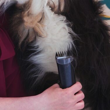 Набір для догляду за тваринами FurVac Pro: пилосос для шерсті та тример - комплект, стаціонарний тример, догляд за шерстю