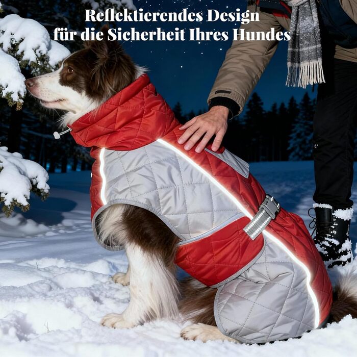 Зимовий теплий куртка для собак, вітро- та водовідштовхуючий, з потовщеним коміром, регульована блискавка, тепла зимова куртка для собак (Червоний/Сірий, M (58,6-68,6 см))