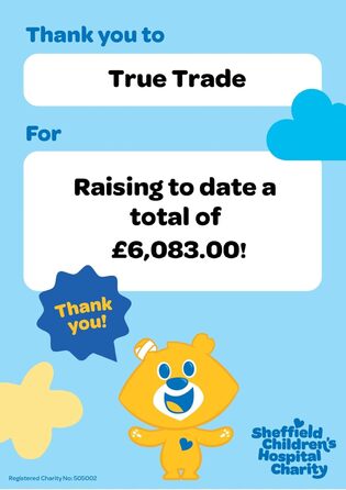 Набори мисок для котів VORX з нержавіючої сталі з антиковзким гумовим дном, 15 см, 3 шт.