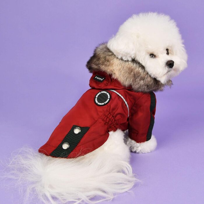 Пупа - теплий зимовий одяг для собак (M) - куртка для собак, аквамарин