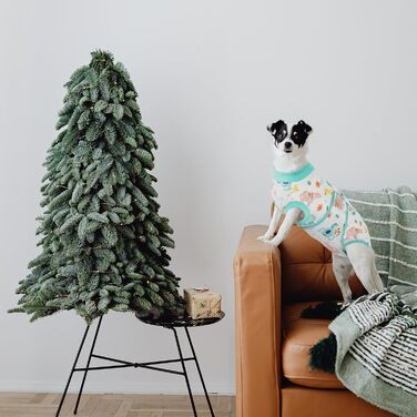 Тільце для собак після операції, захист від лизання, дихаюче, зелене, XS (1 шт.)