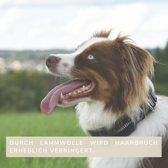 Інноваційний нашийник для собак CHRIS з ланолінової вовни, зменшує випадіння шерсті, з підкладкою, світловідбиваючий, регульований, для собак малих, середніх та великих порід, розміри M (35-45см), L (45-55см), XL (55-65см), колір антрацит