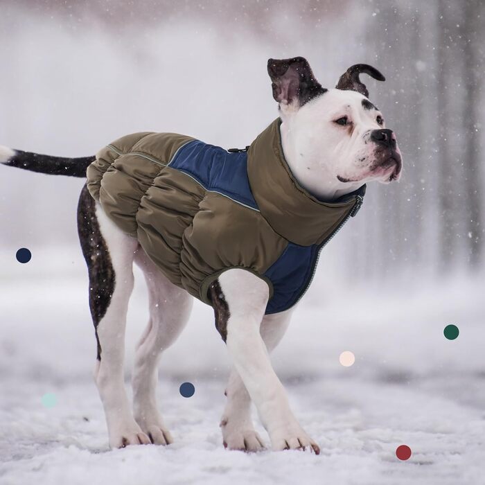 Зимові куртки та зимові пальта для собак IECOii, тепла зимова куртка для собак, пальта для собак, зимові пальта для собак, куртка-жилет для собак, теплий зимовий одяг для собак, водонепроникні куртки для собак, зелений колір, розмір M (обхват грудей: 53 с