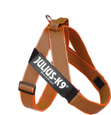 Шлея Julius-K9 Color & Gray для собак, нейлонова, регульована