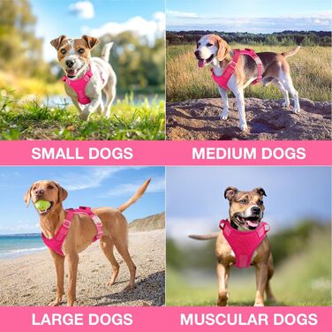 Світловідбиваючий нашийник для собак великих порід Feycig з LED підсвічуванням, акумуляторний, регульований, 3 режими світла, висока видимість (Рожевий, Medium)