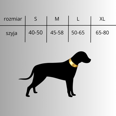 Тканинний тренувальний нашийник для собак DogsLovers, р. M
